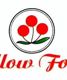 Mellow Foods Limited