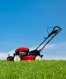 WESTERN Lawnmowing Services Auckland New Zealand