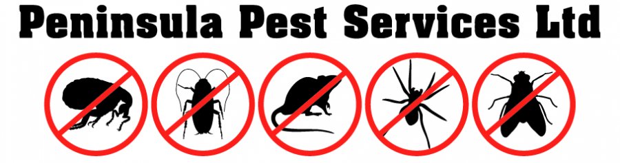 Peninsula Pest Services Ltd Matarangi New Zealand