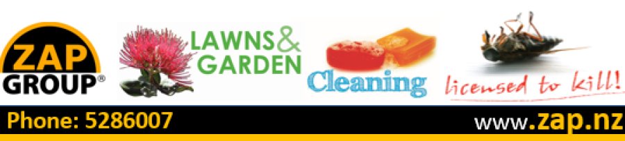 ZAP Services Wellington New Zealand