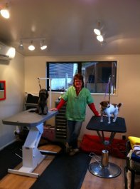 Posh Paws Dog Grooming Queenstown New Zealand