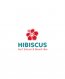 Hibiscus Surf School Tauranga New Zealand