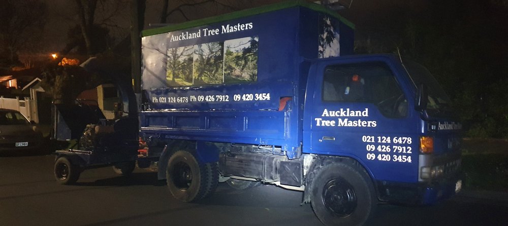Auckland Tree Masters Auckland New Zealand