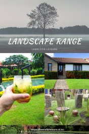 Best Quality Landscape grass range