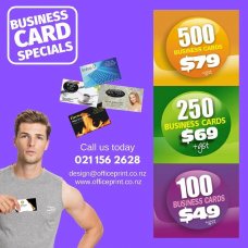 250 COLOUR BUSINESS CARDS ONLY $69
