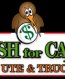 CASH FOR CARS Auckland New Zealand
