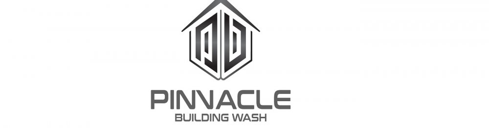 Pinnacle Building Wash