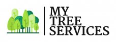Best Tree Removal service in Auckland