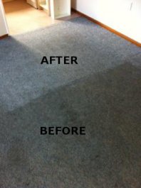ABC Carpet Cleaning Albany Rd2 New Zealand