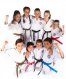 Kassis Karate Academy Tullamarine New Zealand