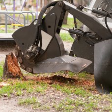 Best Stump Removal Service in Auckland