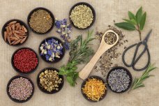 Why Nirvana Naturopathy is Different than Other Treatments