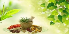 Naturopathy Centre in Pune