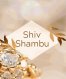 Shiv Shambu New York 