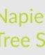 Tree Services Napier Napier New Zealand
