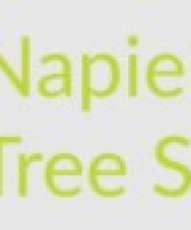 Tree Services Napier