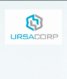 Ursacorp Consulting Auckland Cbd New Zealand