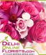 Free Express Delivery Online Cakes to Delhi for the Foodies at Low-Priced Budgets Auckland Newziland