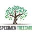 Specimen Treecare Ltd Auckland 1072 New Zealand