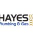 HAYES PLUMBING AND GAS Auckland New Zealand