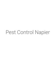 PestControlNapierconz