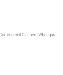 CommercialCleanersWhangareiconz