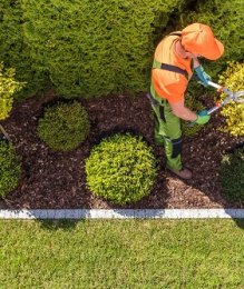 LandscapersLowerHutt