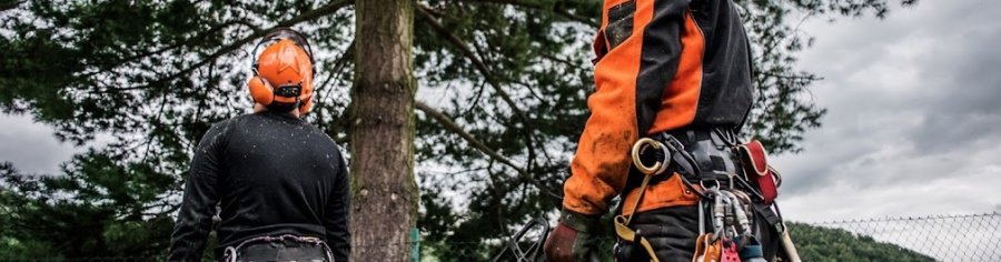 ArboristsInvercargill co nz