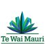 Tewaimaurinz Waiohiki New Zealand