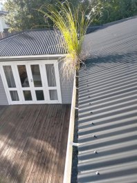 Gutter Cleaning Auckland