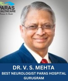 Dr V S Mehta