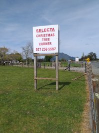Selecta Christmas Tree Corner Bay of Plenty New Zealand